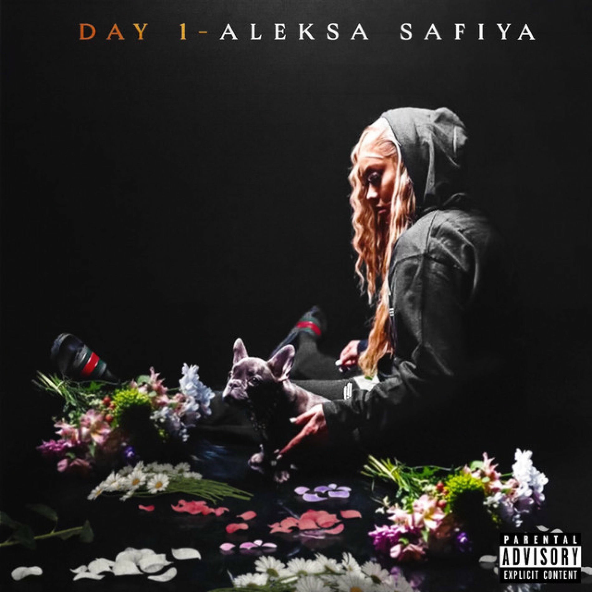 Album cover of Day 1