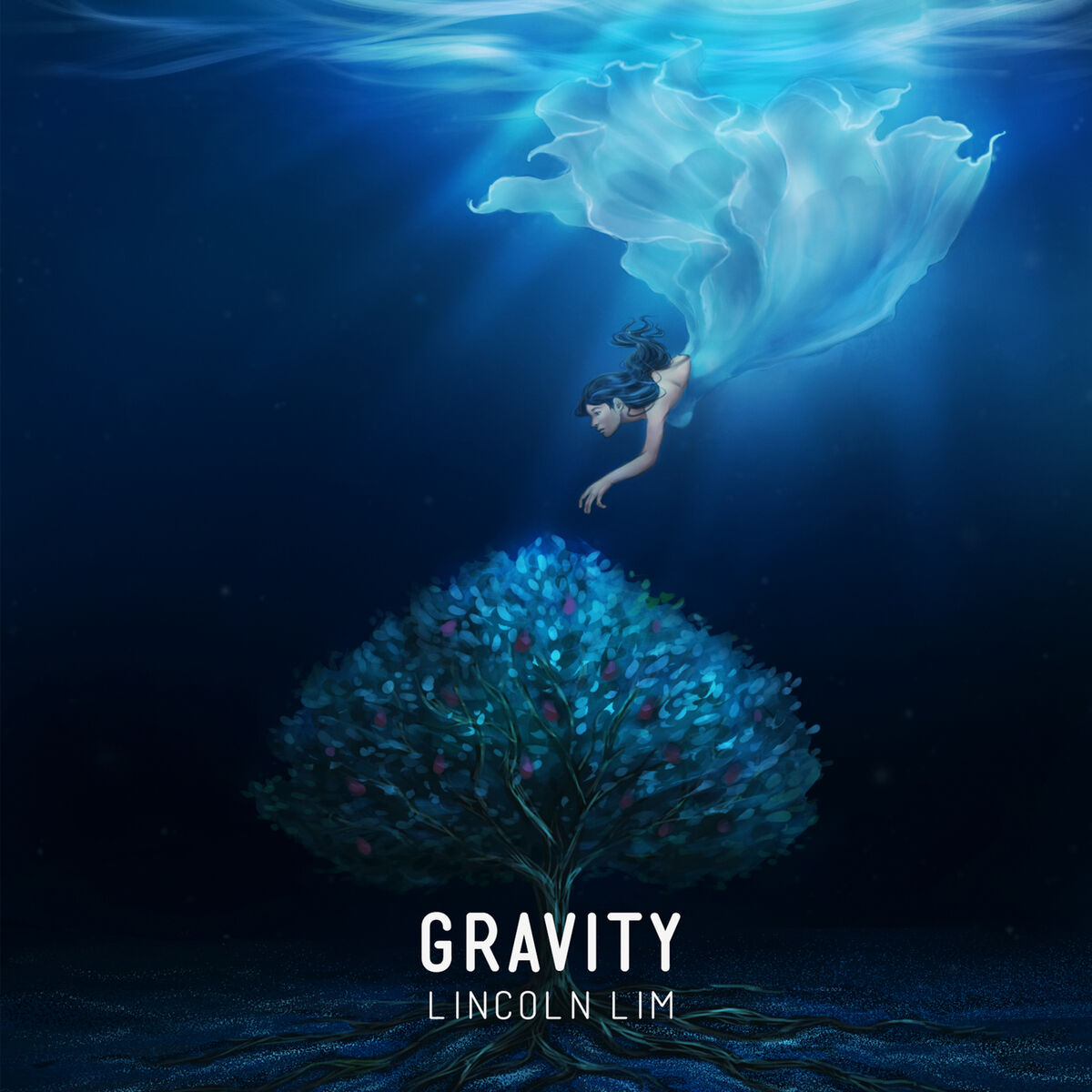 Album cover of Gravity
