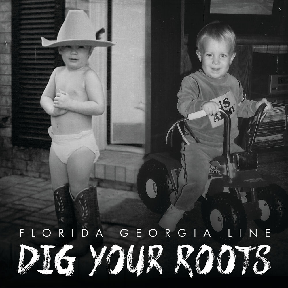 Picture of Dig Your Roots