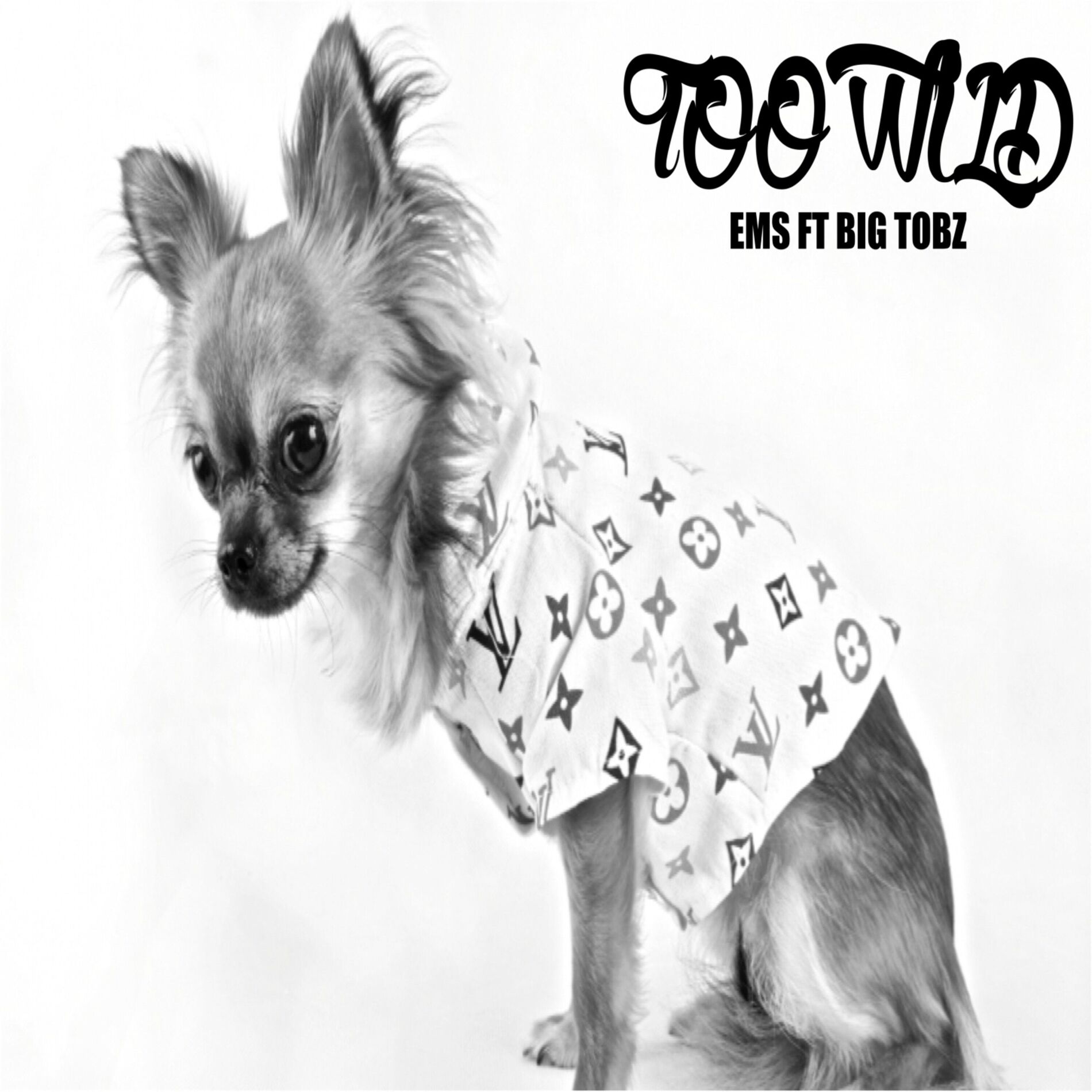 Album cover of TOO WILD