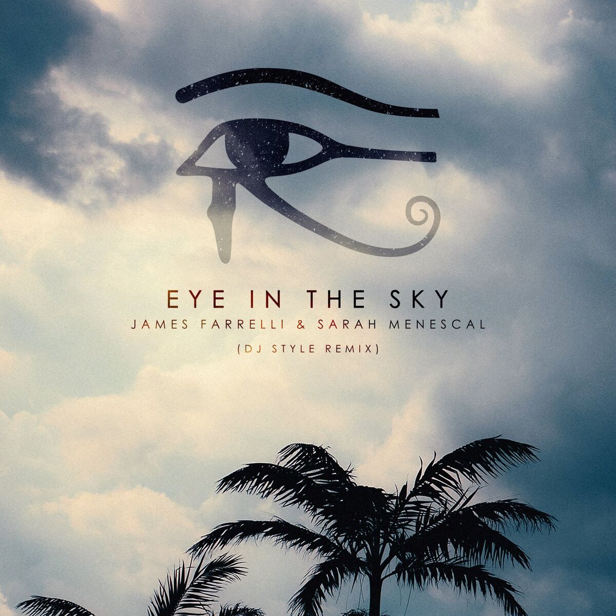 Album cover of Eye in the Sky (Dj Style Remix)