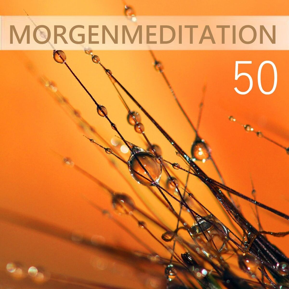 Album cover of 50 Morgenmeditation: Musik für Autogenes Training und Energie schöpfen, Stress Abbauen mit New Age Musik, Naturgeräusche, Geräusch