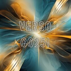 Cover of Verso Go25
