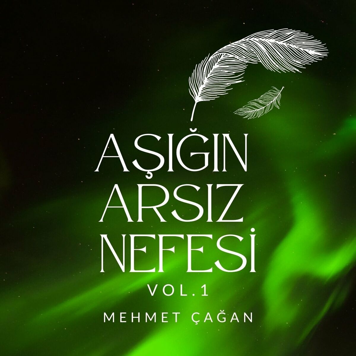Album cover of Aşığın Arsız Nefesi, Vol. 1