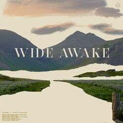 Cover of Wide Awake