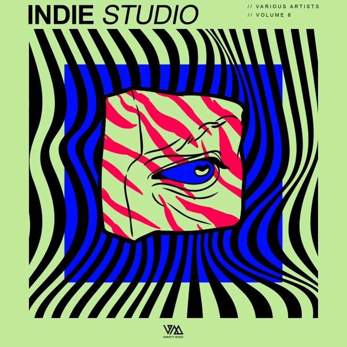 Album cover of Indie Studio, Vol. 6