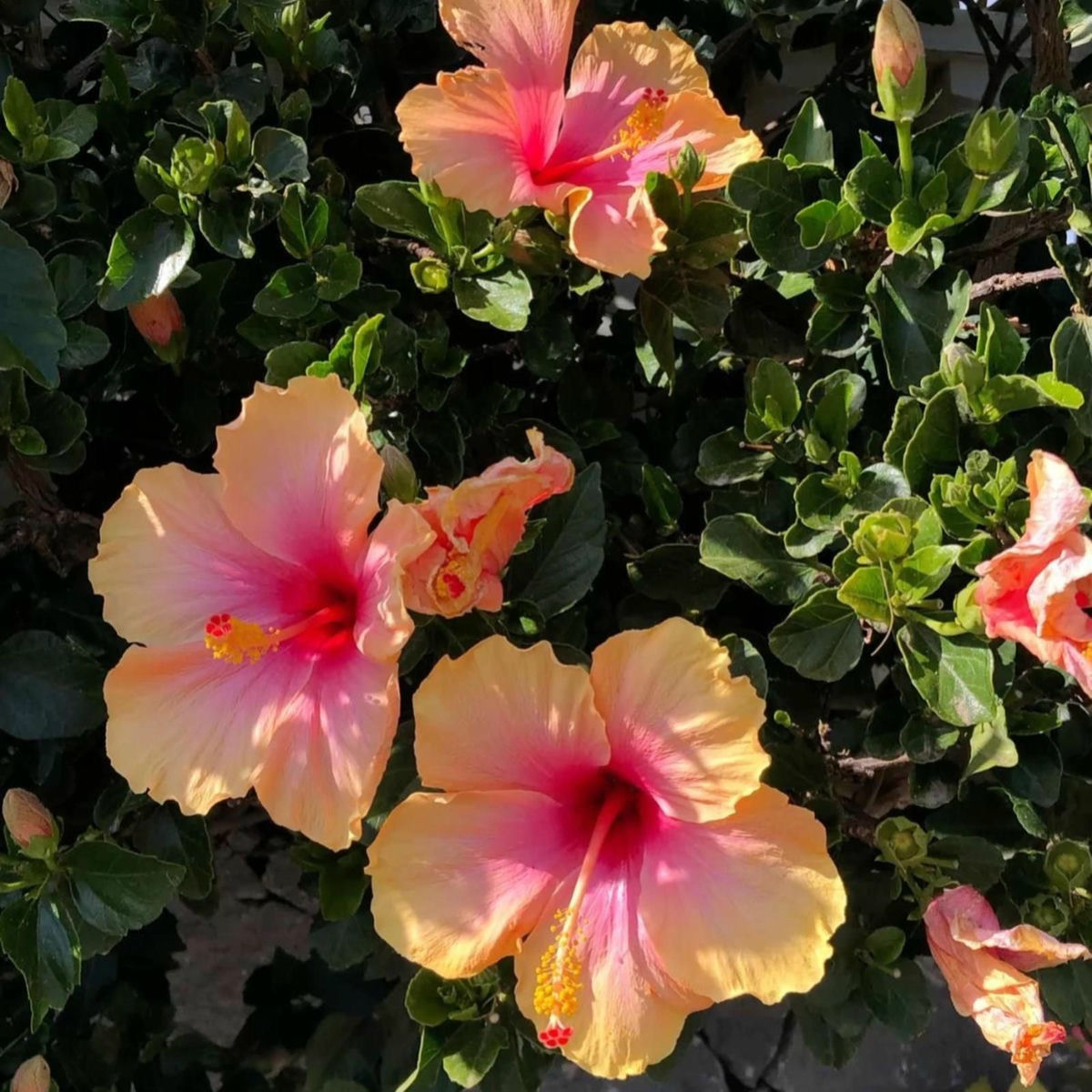 Album cover of my way!