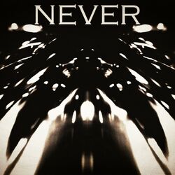 Cover of Never