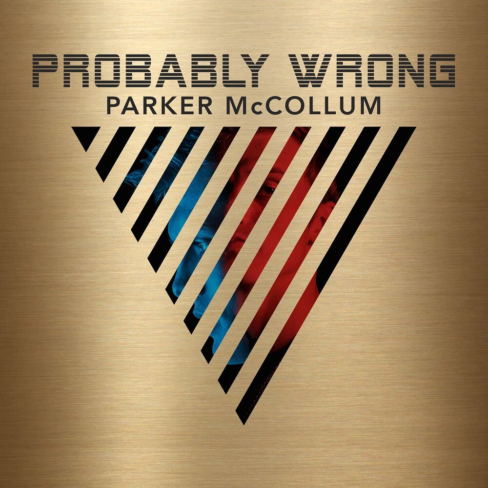 Picture of Probably Wrong