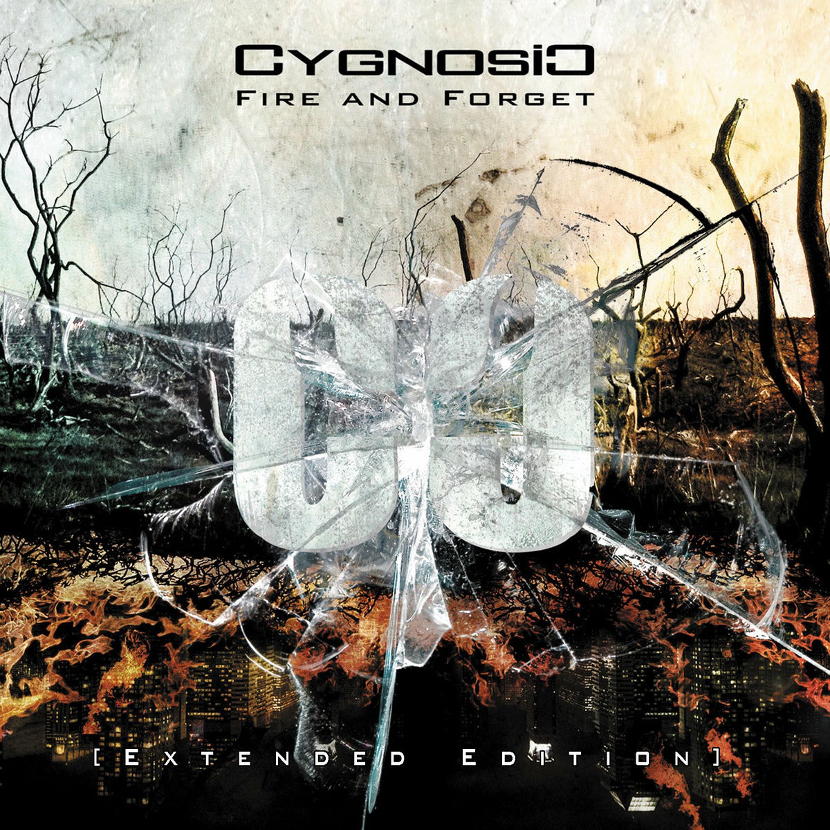 Album cover of Fire and Forget (Extended Edition)