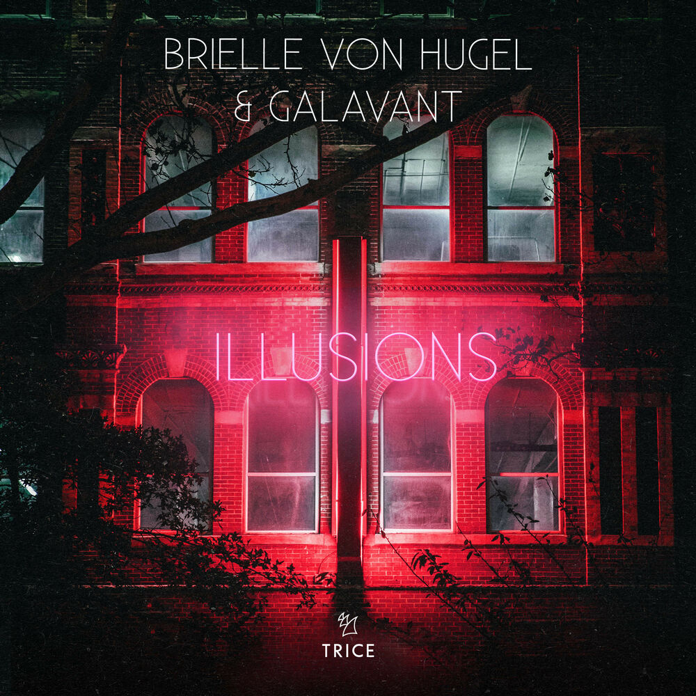 Picture of Illusions