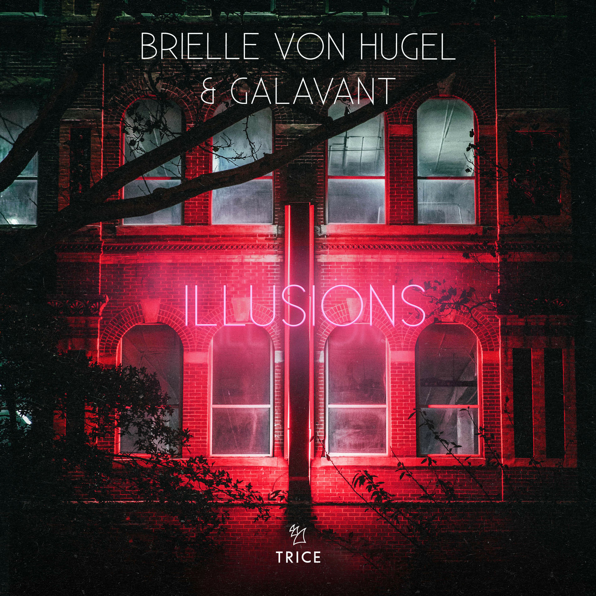 Album cover of Illusions