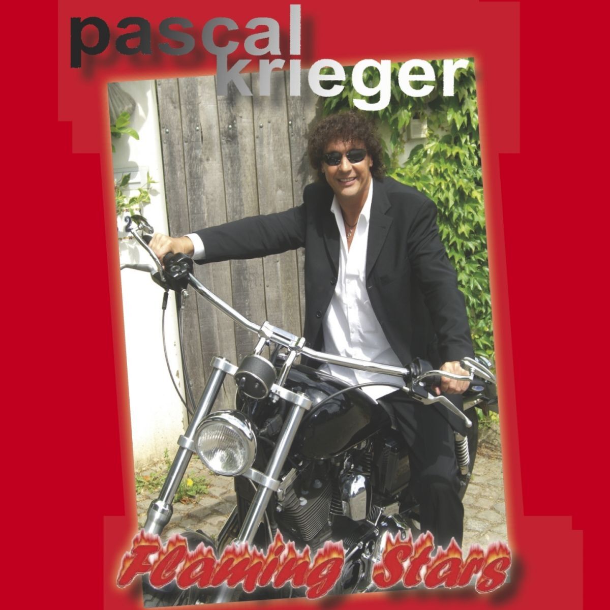 Album cover of Flaming Stars