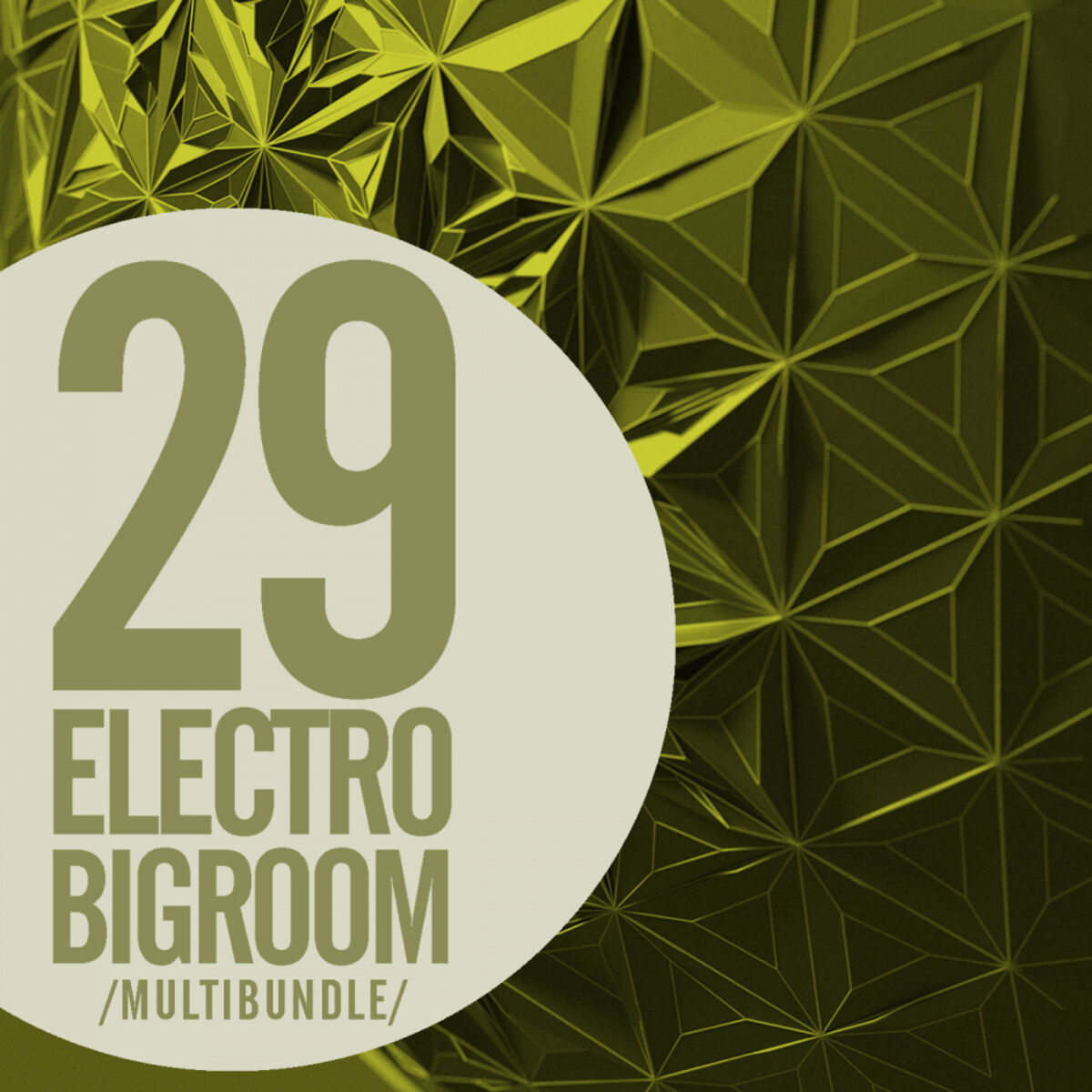 Album cover of 29 Electro Bigroom Multibundle