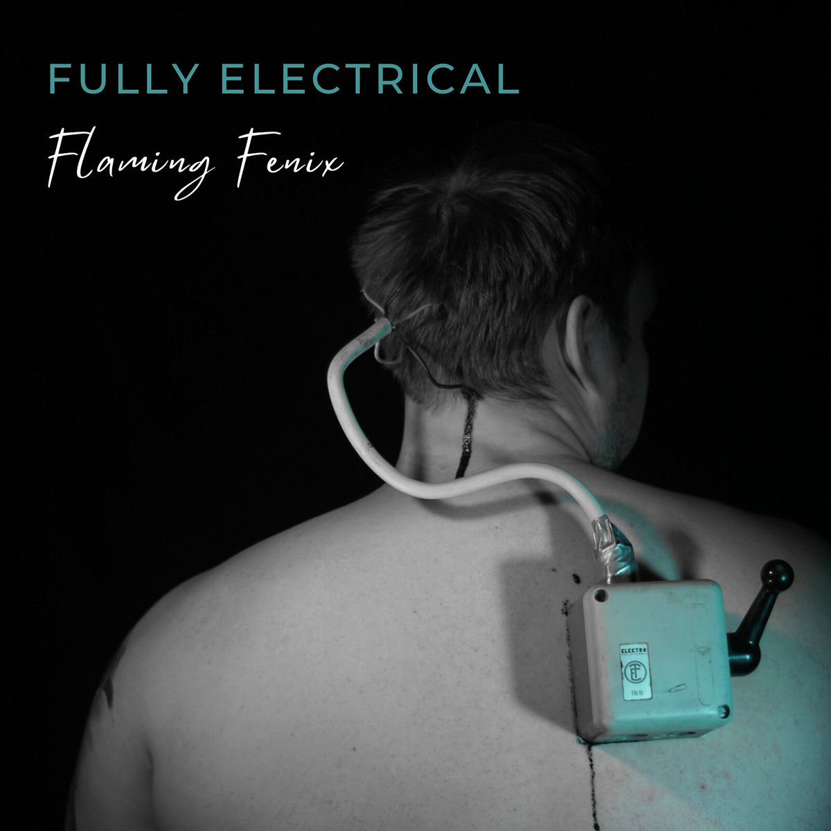 Album cover of Fully Electrical