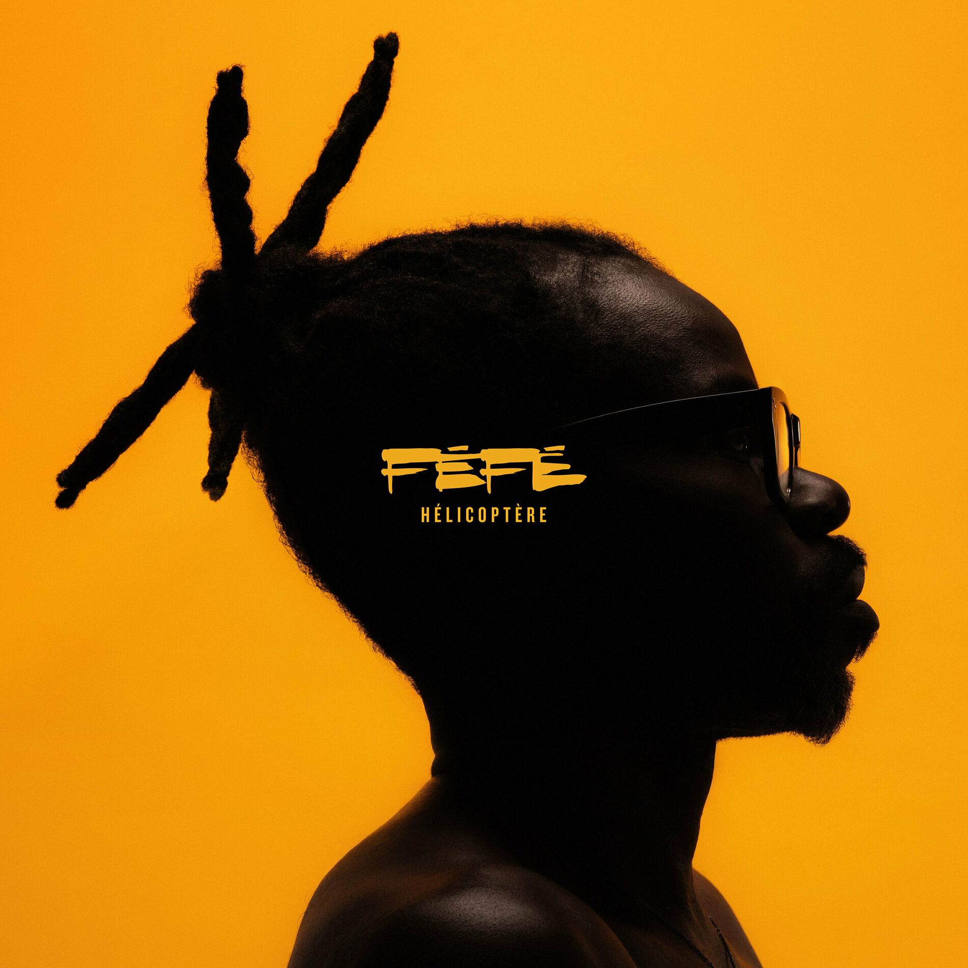 Album cover of Falling Star