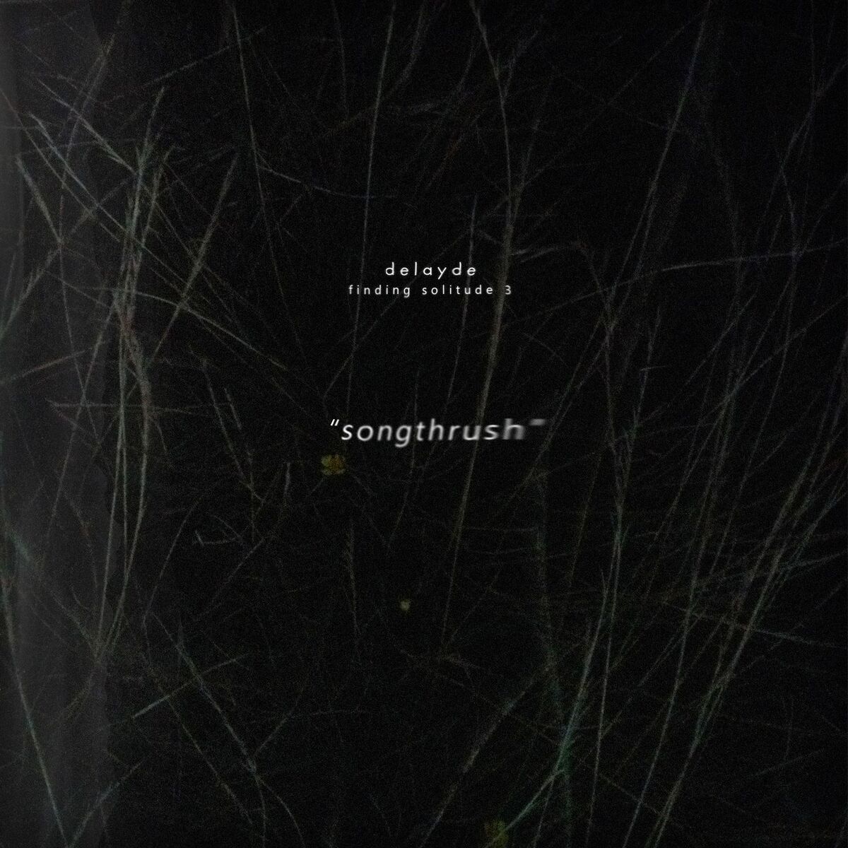 Album cover of songthrush