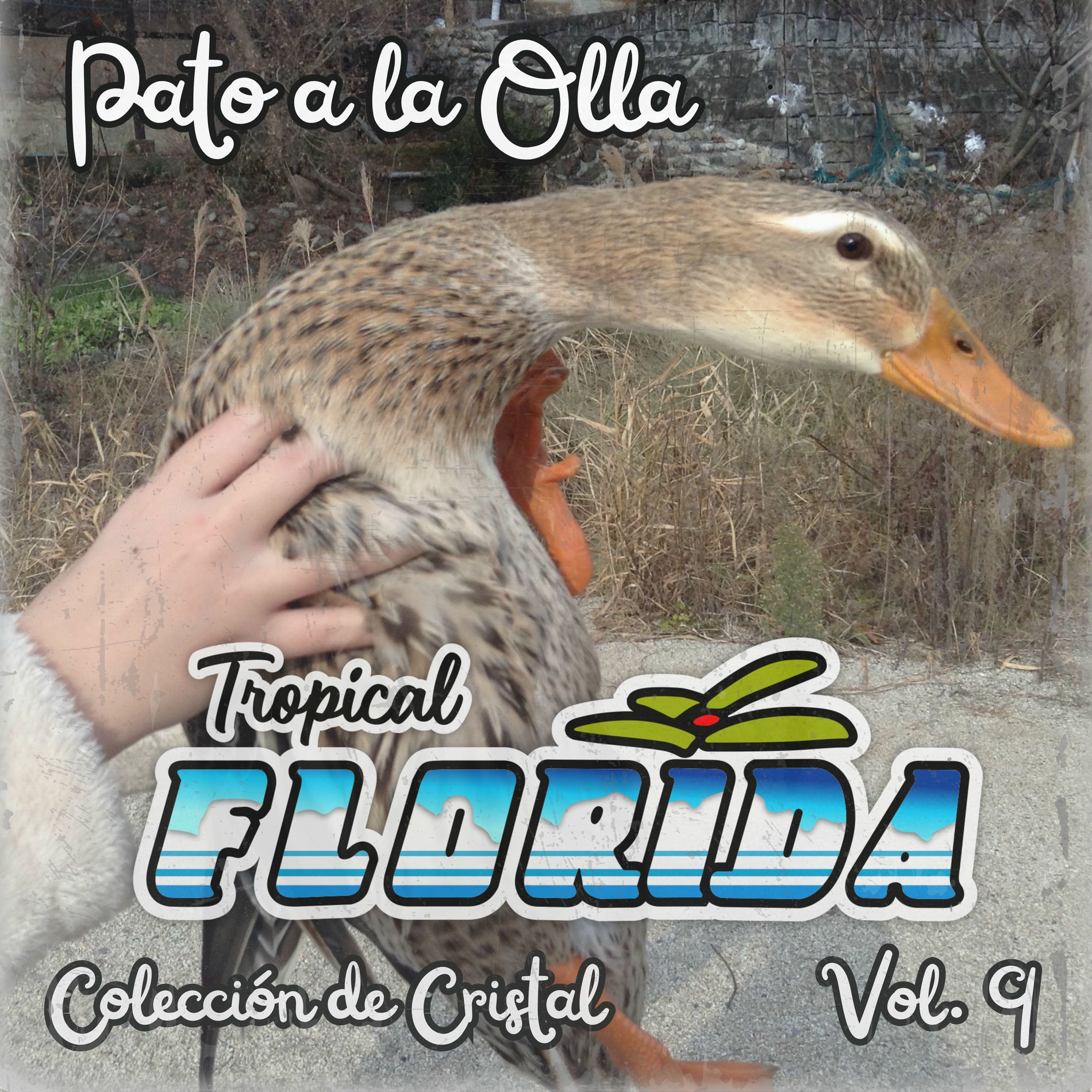 Album cover of Pato a la Olla (Colección de Cristal Vol. 9)