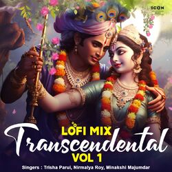 Cover of Transcendental Vol 1 (Lofi Mix)