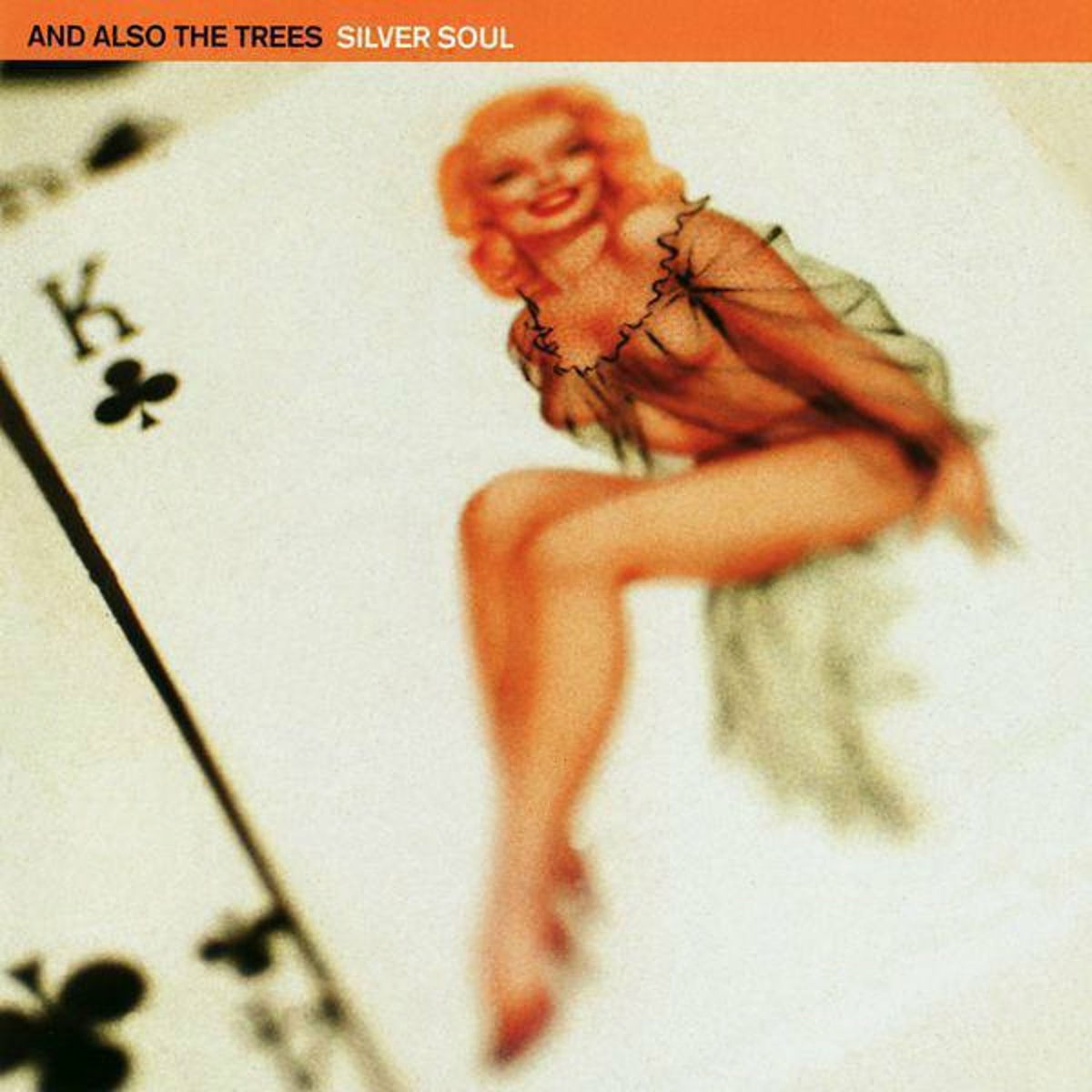 Album cover of Silver Soul