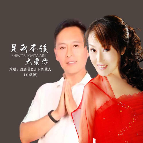 是我不该太爱你(对唱版)