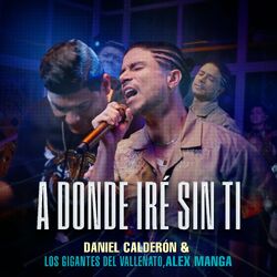 Cover of A Donde Iré Sin Ti