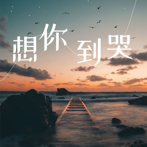 想你到哭