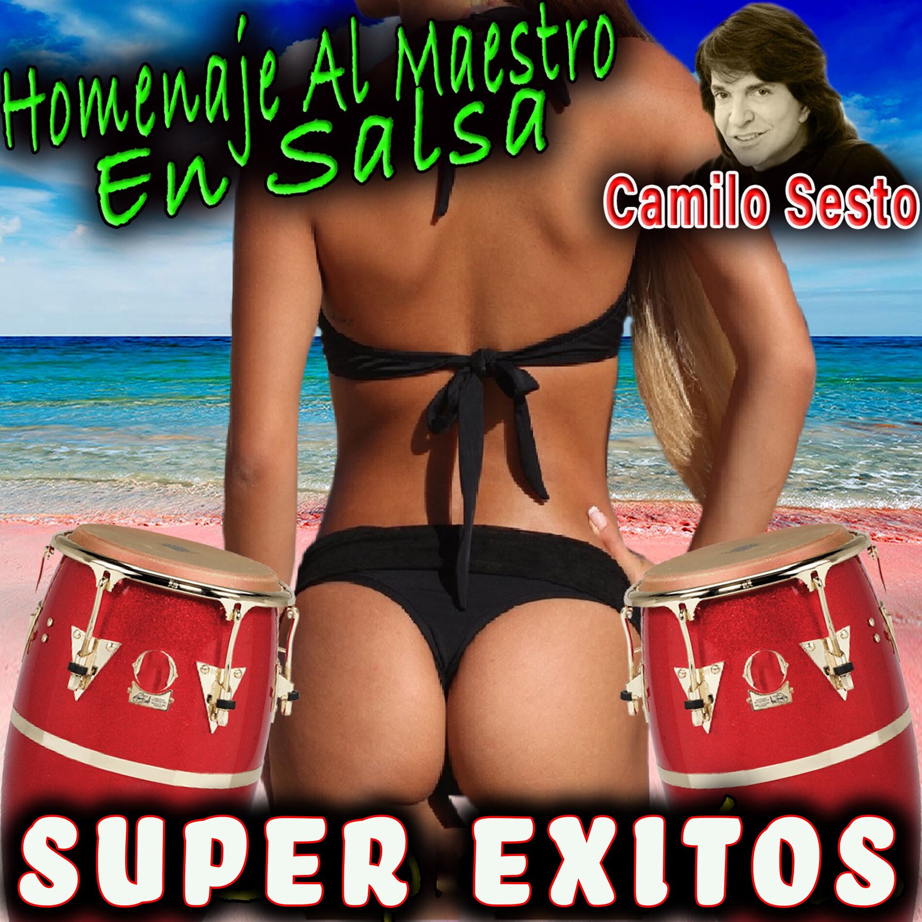 Album cover of Super Exitos (Homenaje al Maestro Camilo Sesto en Salsa)