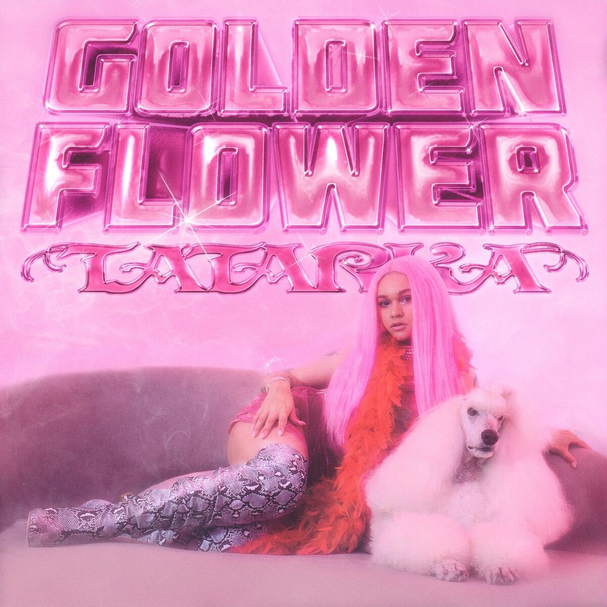 Album cover of KAWAII