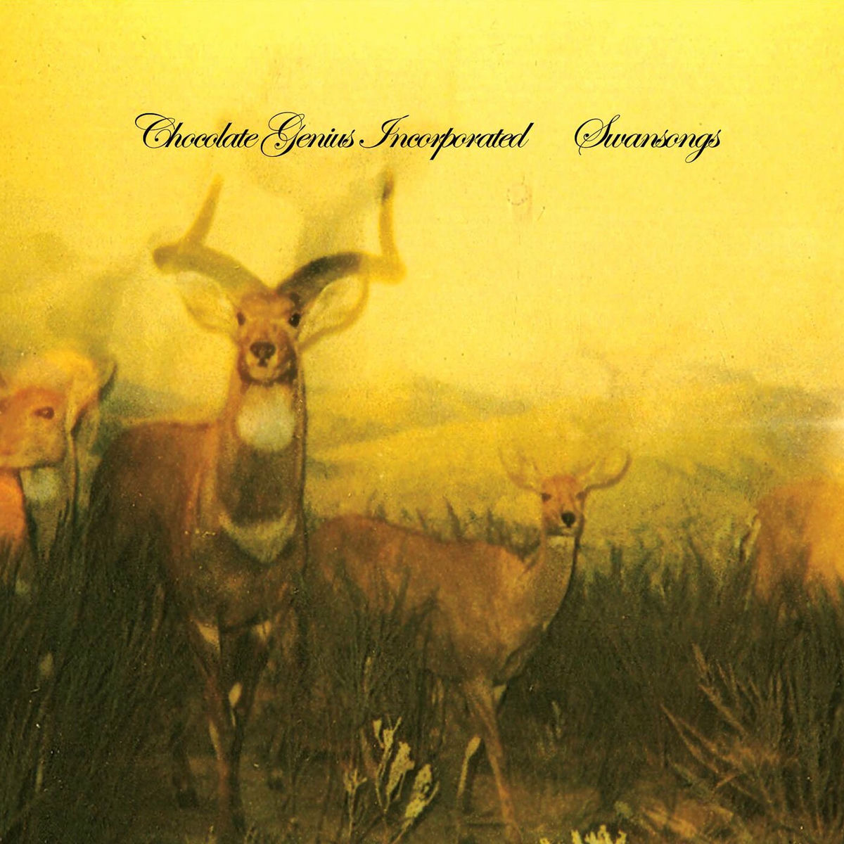 Album cover of Swansongs