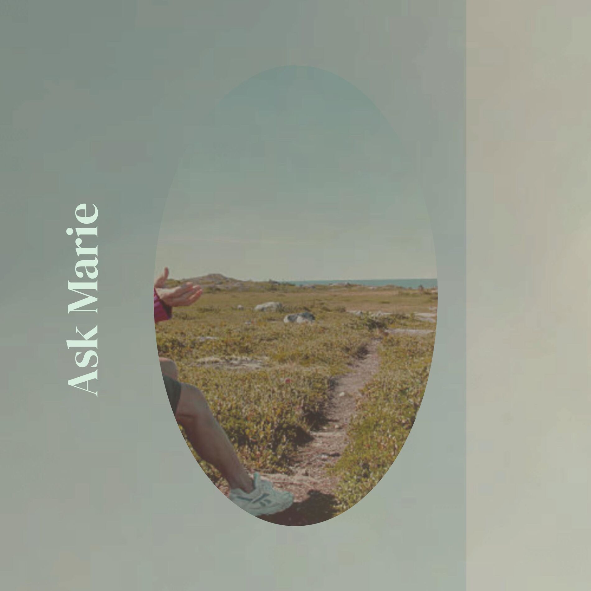 Album cover of Ask Marie