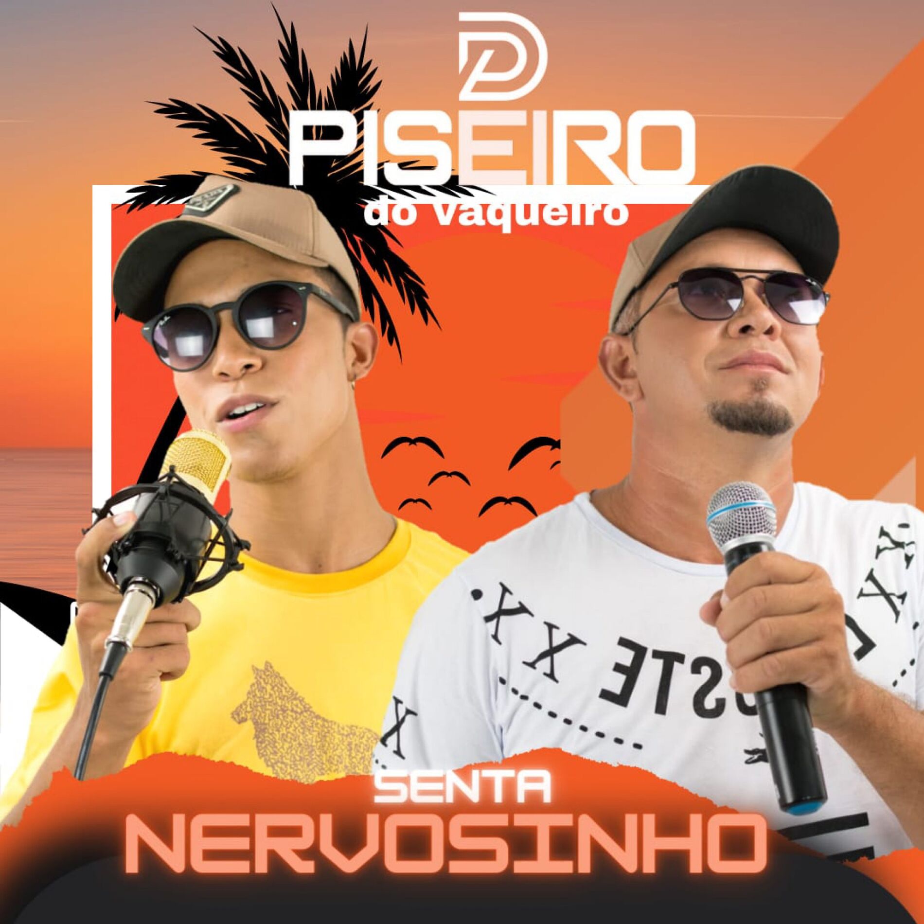 Album cover of Senta Nervosinho