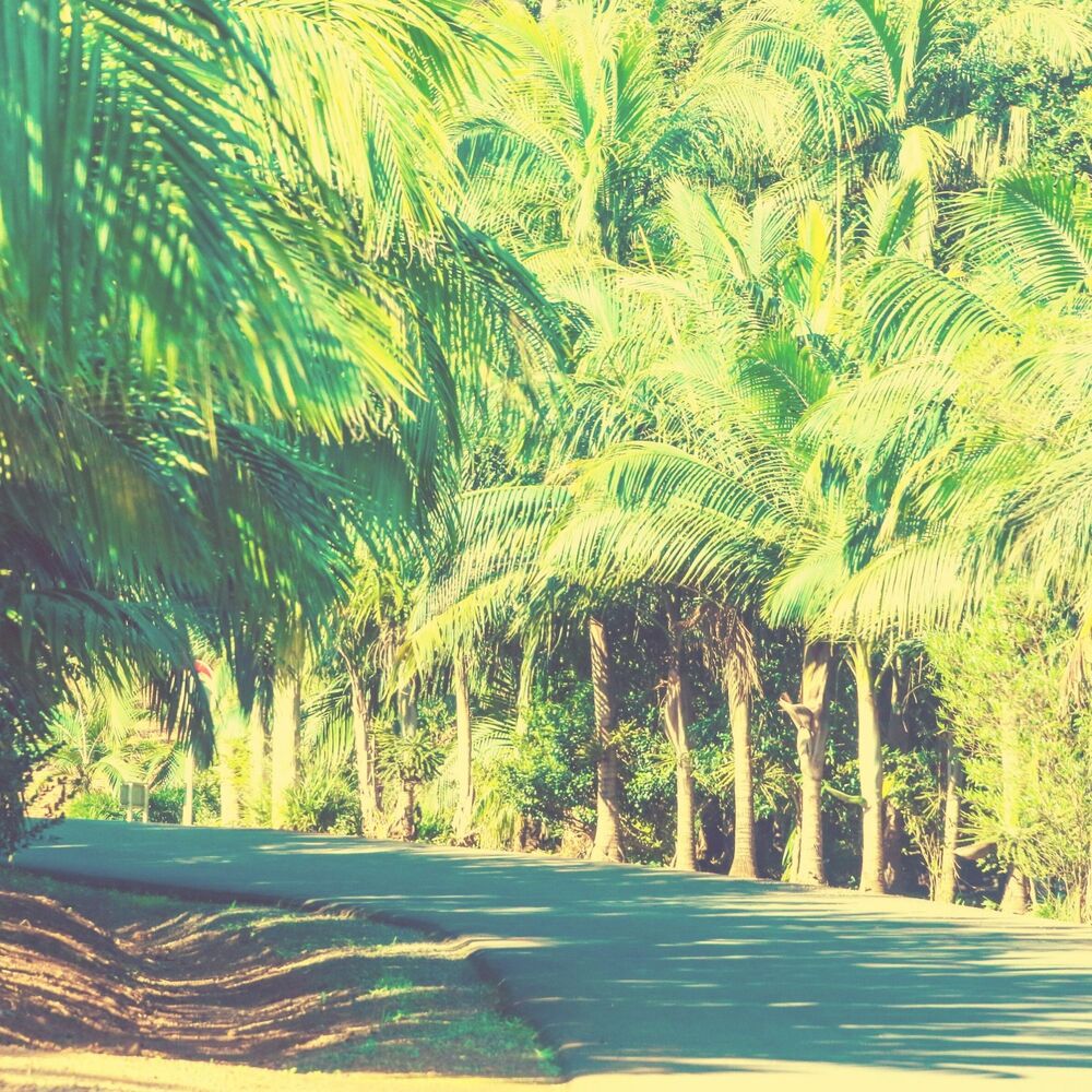 Picture of Backdrop for Resort Hotels