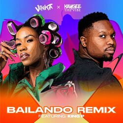 Cover of Bailando (Kaygee The Vibe Remix)