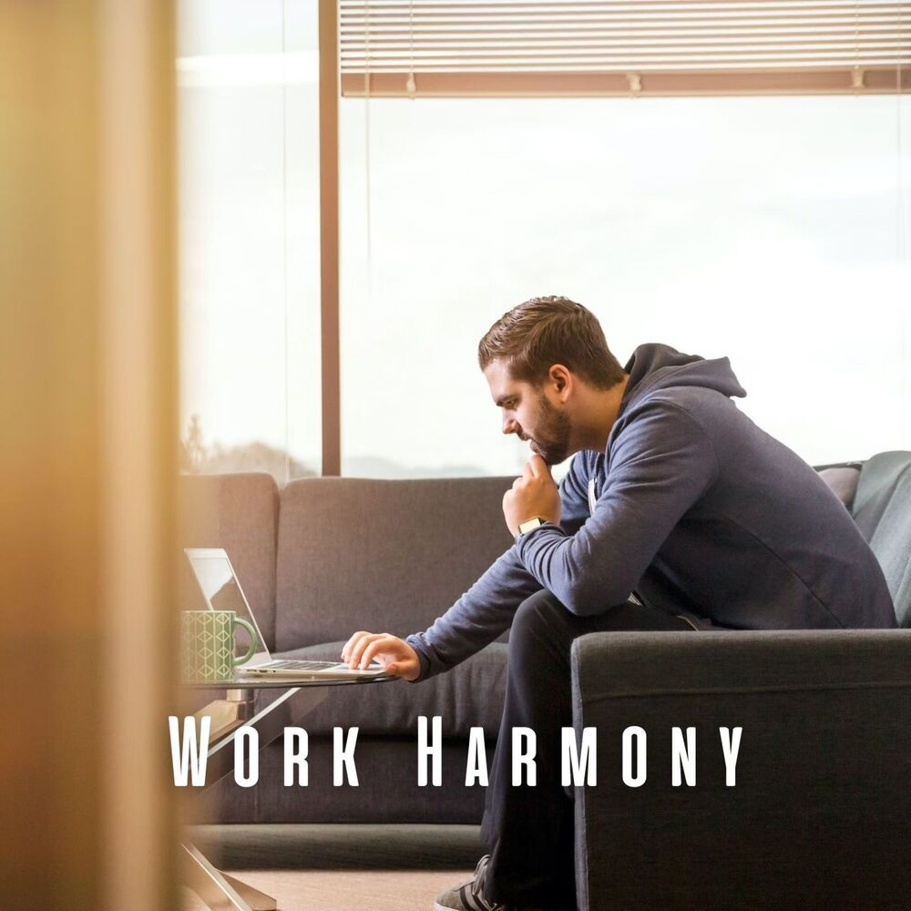 Picture of Work Harmony: Meditation Music Soundtracks