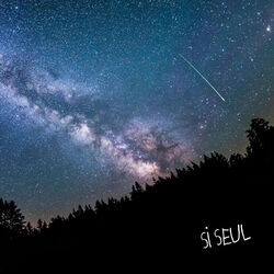 Si seul