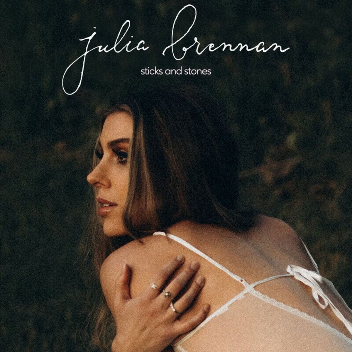 Album cover of Sticks and Stones
