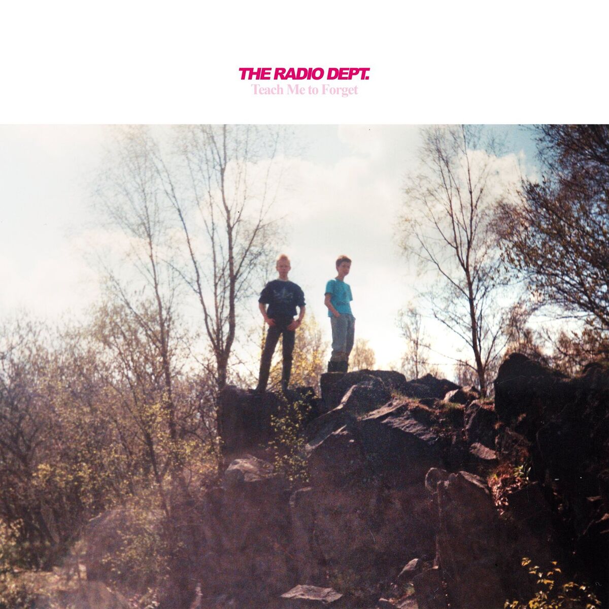 Album cover of Teach Me To Forget