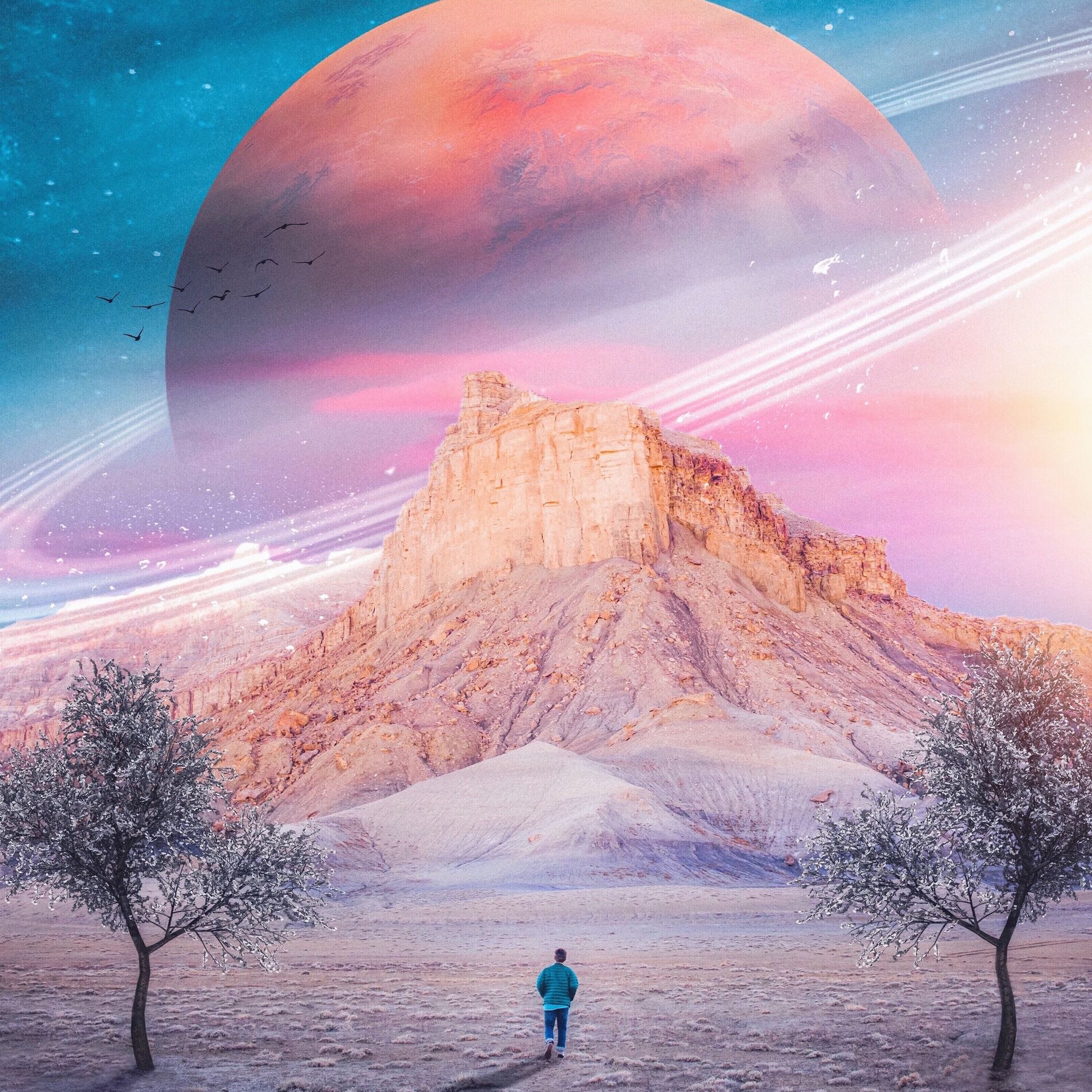 Album cover of Time Stands Still