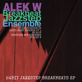 24bit Jazzstep Breakbeats