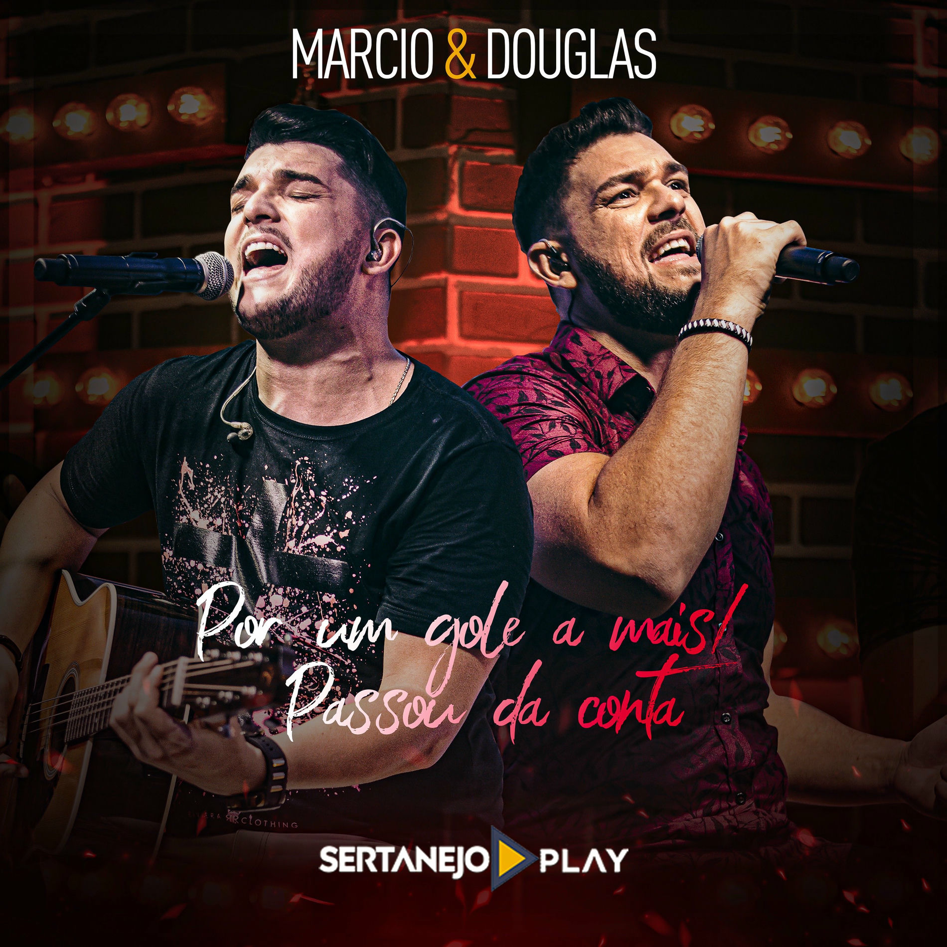 Album cover of Por um Gole a Mais / Passou da Conta