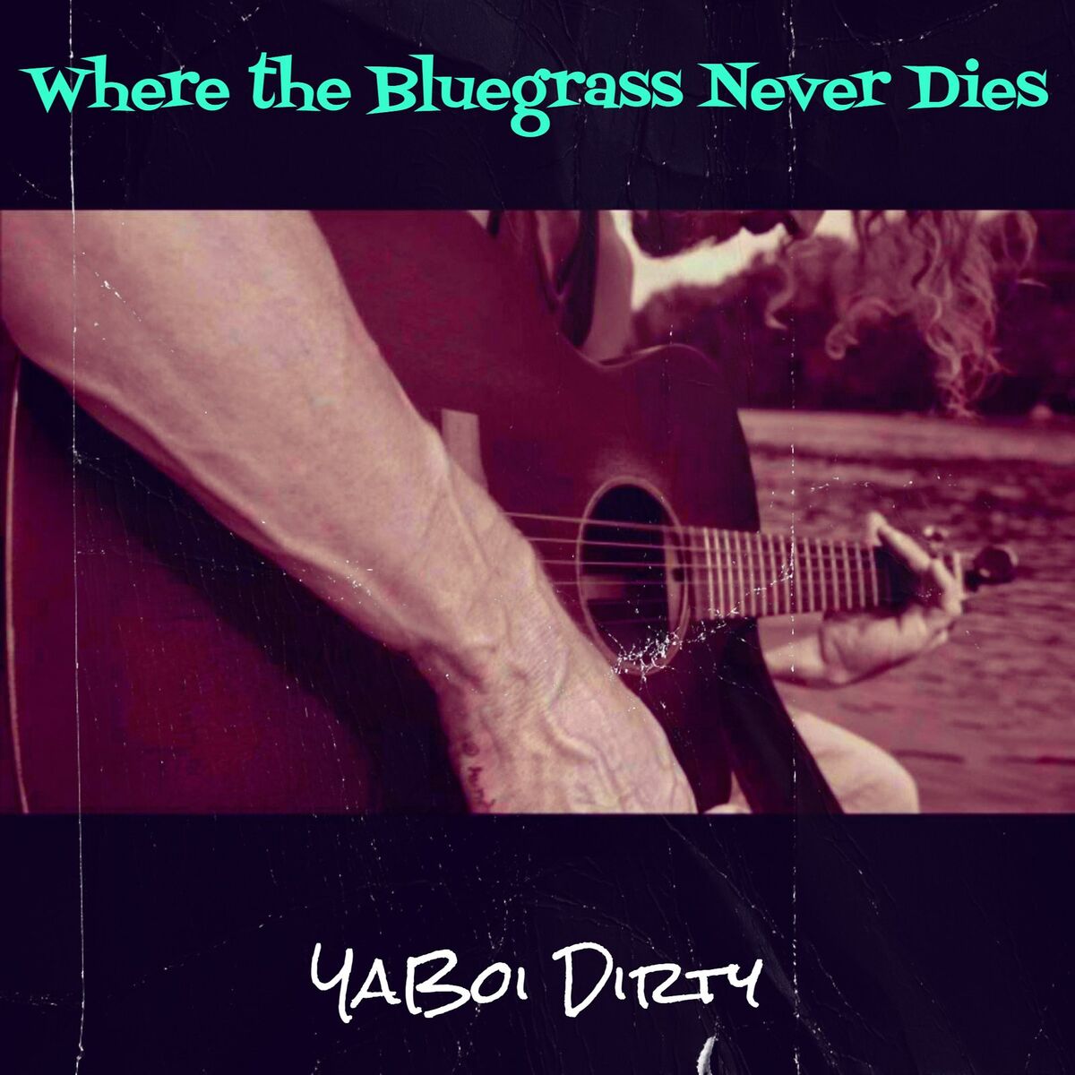 Album cover of Where the Bluegrass Never Dies