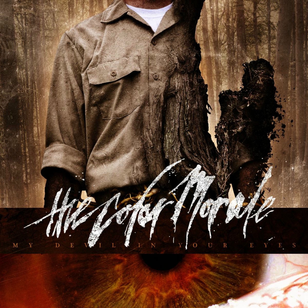 Album cover of This Lost Song Is Yours