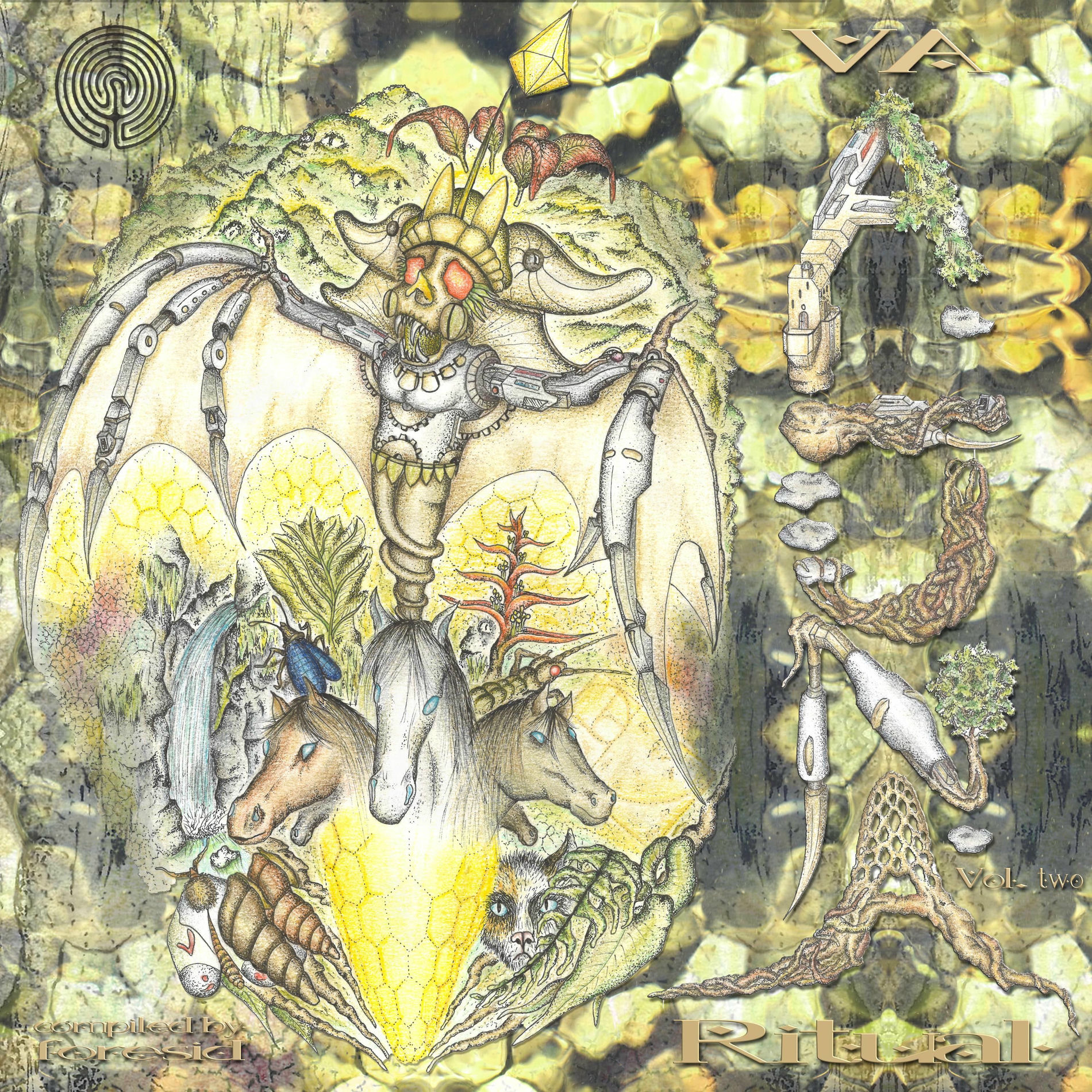 Album cover of Aluna Ritual, Vol. 2