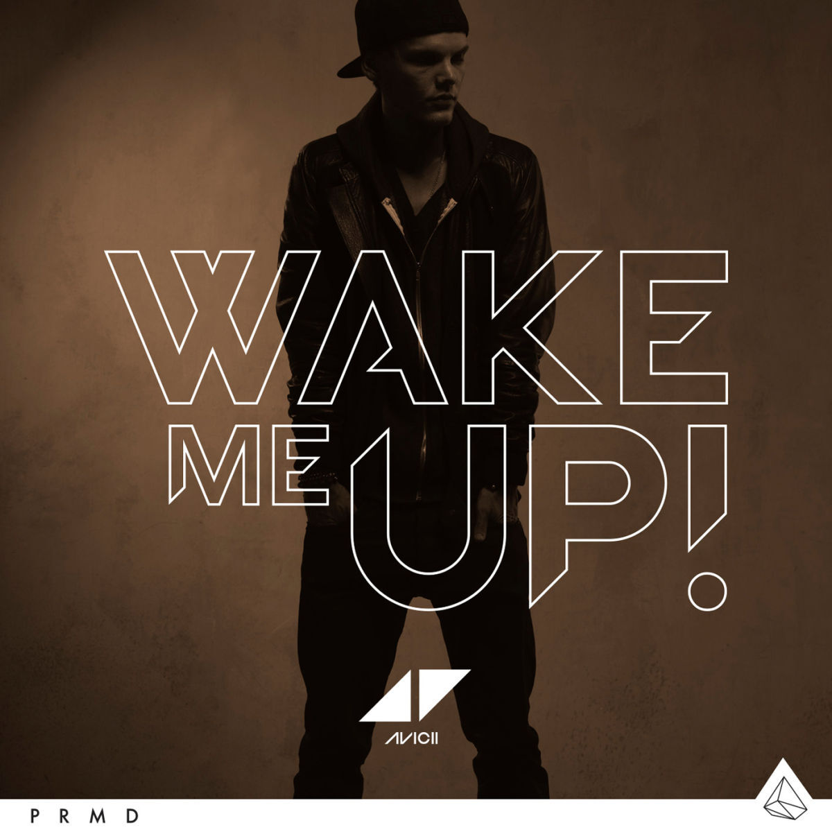 Album cover of Wake Me Up