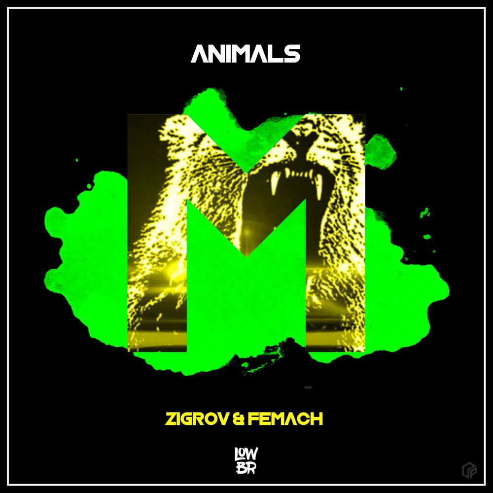 Picture of Animals