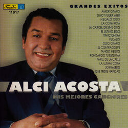Cover of Grandes Exitos - Mis Mejores Canciones