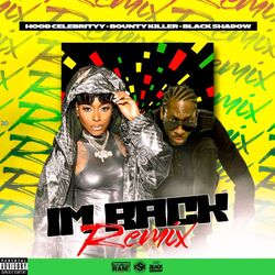 Cover of Im Back (Remix)