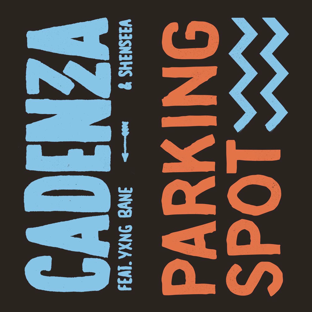 Parking Spot cover