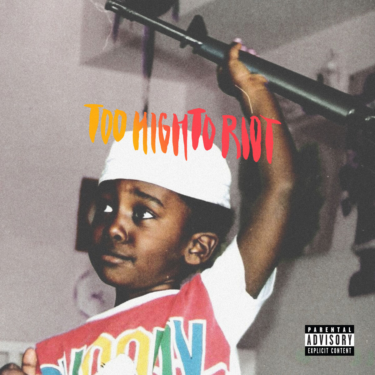 Album cover of Too High To Riot